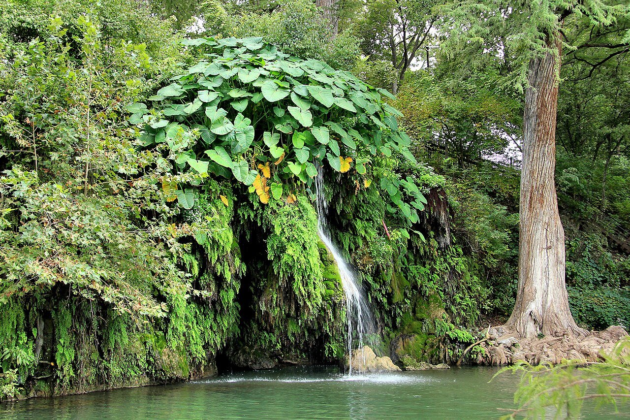 Krause Springs, Texas